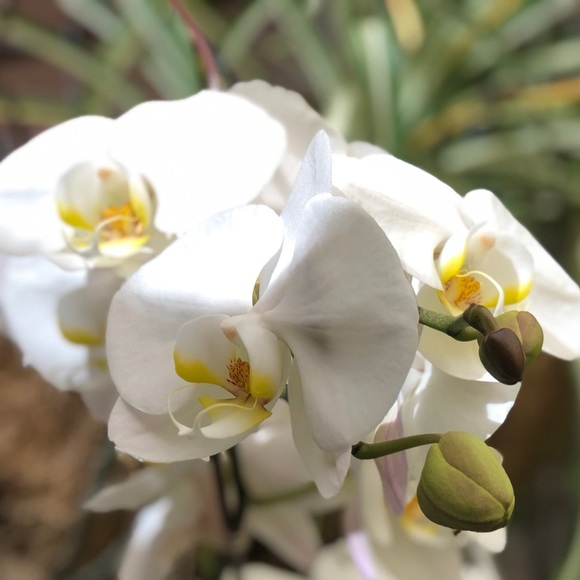 Meet your Posher, Andy - Picture 1 of 1